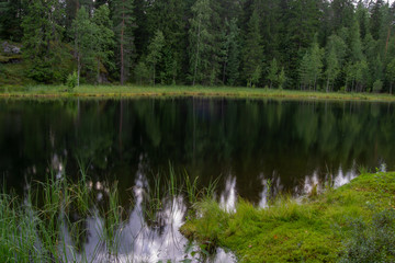 Obraz premium Beautiful green landscape of Surroundings of Kuopio at summer
