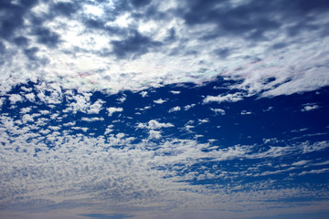 Naklejka na ściany i meble Blue sky background with a tiny clouds. Sunny day