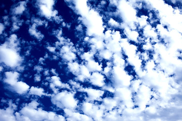 Obraz premium Blue sky background with a tiny clouds. Sunny day