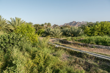 Farm with falaj irrigation system in Hatta, an enclave of Dubai in the Hajar Mountains, United Arab Emirates