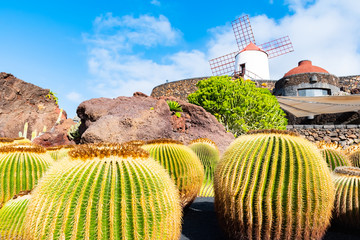 Beatiful View of cactus garden, Jardin de Cactus in Guatiza, Lanzarote, Canary Islands, Spain