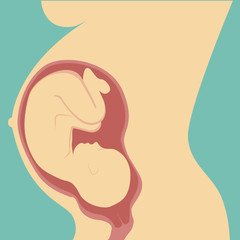 The maternal concept, pregnancy and the birth of the baby. Pregnant woman or the birth of a healthy child. Modern, simple vector illustration.