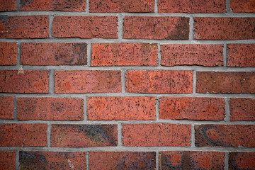 Fototapeta premium Ziegelstein Mauer