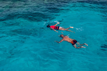 Top view of people snorkeling in the sea. Holiday and travel concept