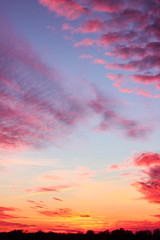 Bright pink sunset