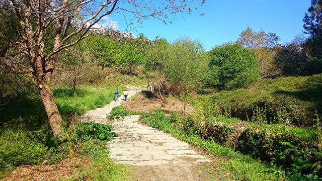 Portuguese Way of Santiago near Pontevedra, Spain