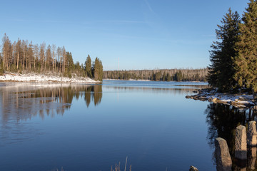 reflection of trees in water in winter under blue cloudless sky in harz region in germany