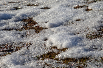 ice on the grass in winter