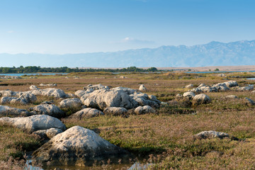 coast of the island vir