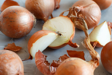 Yellow onions on a grey board