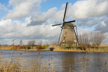 Windmill landscape at Kinderdijk near Rotterdam The Netherlands