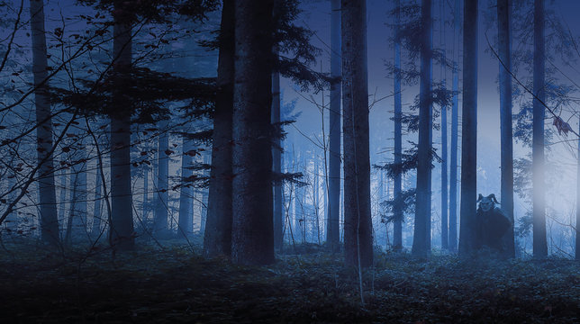 ein unheimlicher Fellteufel im d&uuml;streren, nebeligen Wald