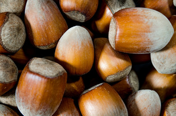 Hazelnuts. Food background, photo wallpaper. Nut macro.