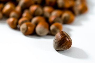 Hazelnuts. Food background, photo wallpaper. Nut macro.