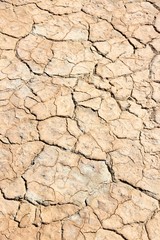 Dry mud background