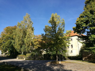 Alte Bäume in der Zufahrt zu Schloß Brake, einem Wasserschloss mit Weserrenaissance Museum, im...