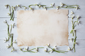 Snowdrops on a wooden background and paper for text.