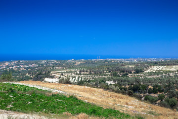 Fototapeta na wymiar Landscape of Crete island in Greece. Olive tree groves, hills and fields.