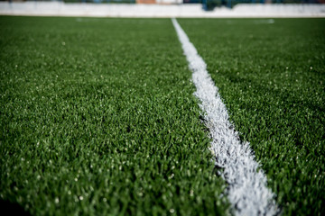 Grama sintética de estádio de futebol © Elton Abreu