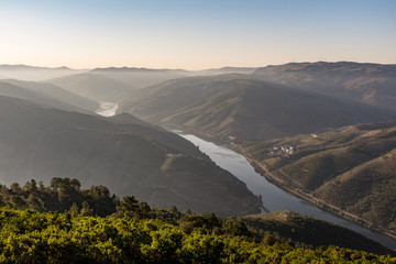 Misty morning over Douro Valley in Portugal