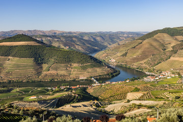 Fototapeta na wymiar The Douro Valley In Portugal