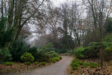 Path in park