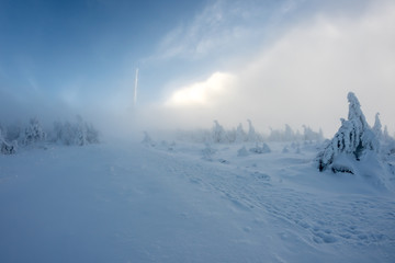 Fototapeta na wymiar The Brocken mountain in winter