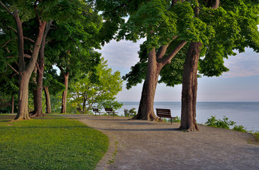 Obraz premium A path in Queen's Royal Park weaves between large trees from a Carolinian forest along the shore of Lake Ontario with a blue pink morning sky and benches