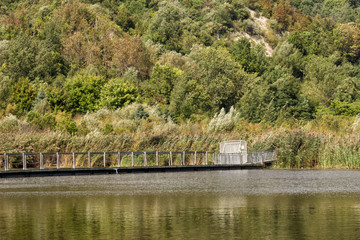 Fototapeta na wymiar Bridge Over a Pond