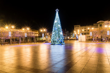 Christmas tree in city center of Sopot at night. - obrazy, fototapety, plakaty