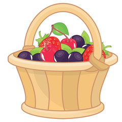 Basket full of fresh berries