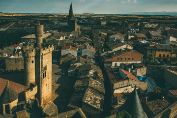 Obraz premium Olite village from the top of Palace (Castle) of the Kings of Navarre, Spain