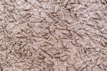 Cage-free chicken footprints on the mud.