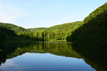 Fototapeta na wymiar Forest reflection, calm lake view