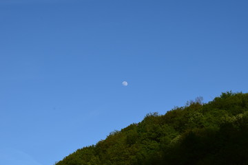 Moon and a forest, on daylight
