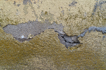 Yellow wall with cracks and moss background