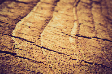 Obraz premium wooden background