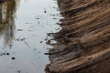 muddy berm beside river water