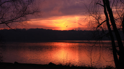 Beautiful autumn landscape with silhouettes of branches at sunset Sublime lakefront panorama with...