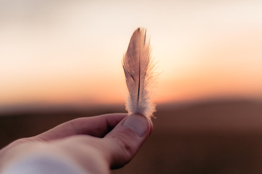 Feather Being Held In Sky At Sunset