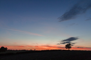 Lone Tree At Sunset