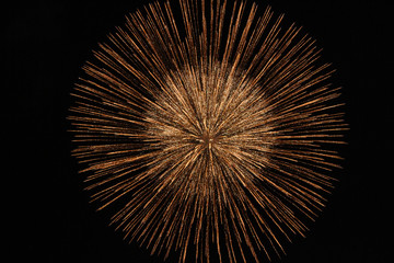 Beautiful explosion of fireworks.