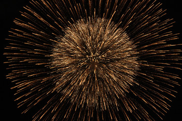 Beautiful details of exploding fireworks.