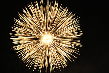 Beautiful close-up flower view from firework.