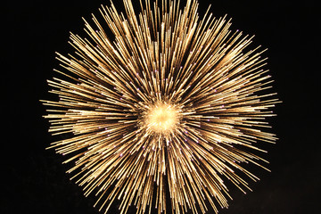 Beautiful fireworks blowing in the sky.