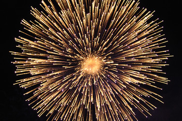 Beautiful firework details.
