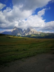 Naklejka premium Almleben