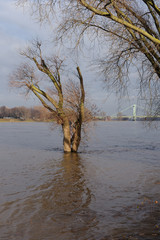 Rheinufer K&ouml;ln M&uuml;lheim