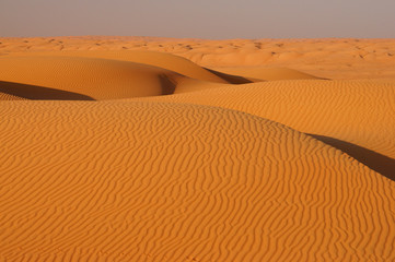 Sand hills in the desert. Wahiba sands (Sharqiyah sands). Oman