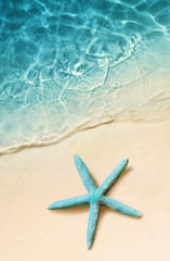 Fototapeta na wymiar Starfish on the sand beach and ocean as background. Summer beach.